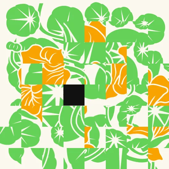 Pocket puzzles